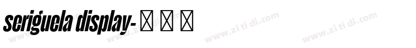 seriguela display字体转换